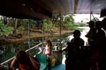 Daintree river - crododile cruise
