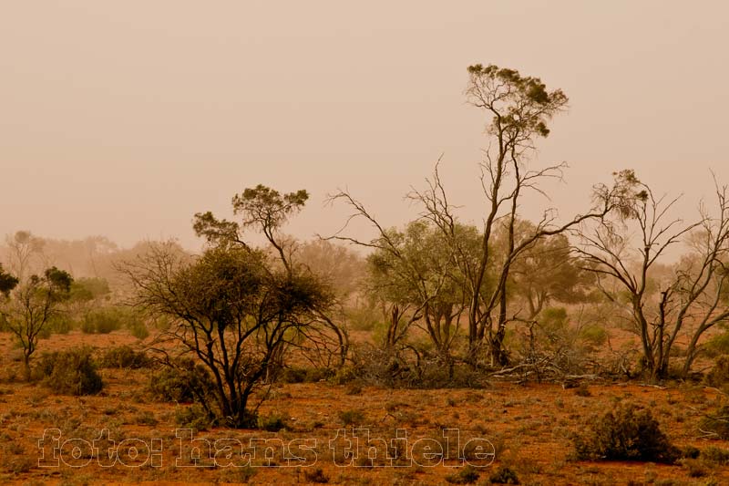 Outback bei Wilcannia im Sandsturm