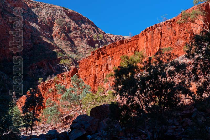 Macdonnell Ranges, Ormiston Gorge, The Wall