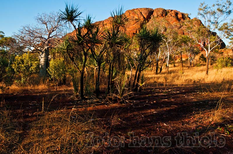 Keep River Nationalpark: Am Camp Jarnem liegt ein heiliger Berg der Aborigines