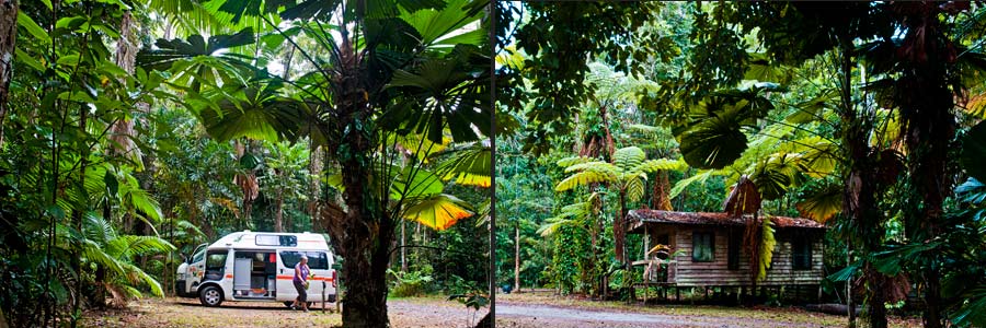 Lync Haven´s Rainforest Camping Ground