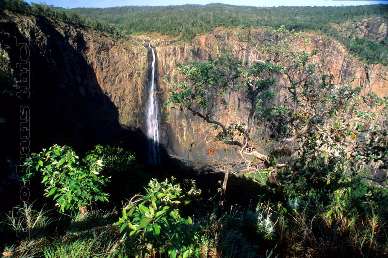 Wallaman Falls, die höchsten Wasserfälle Australiens