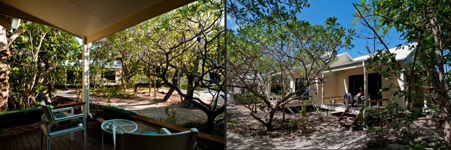 Heron Island Resort, Bungalows zwíschen Pisonia-Bäumen
