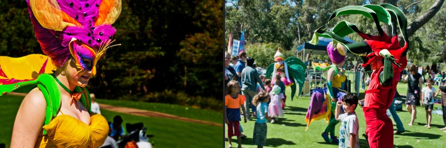 Wildblumen-Festival im Kings Park in Perth