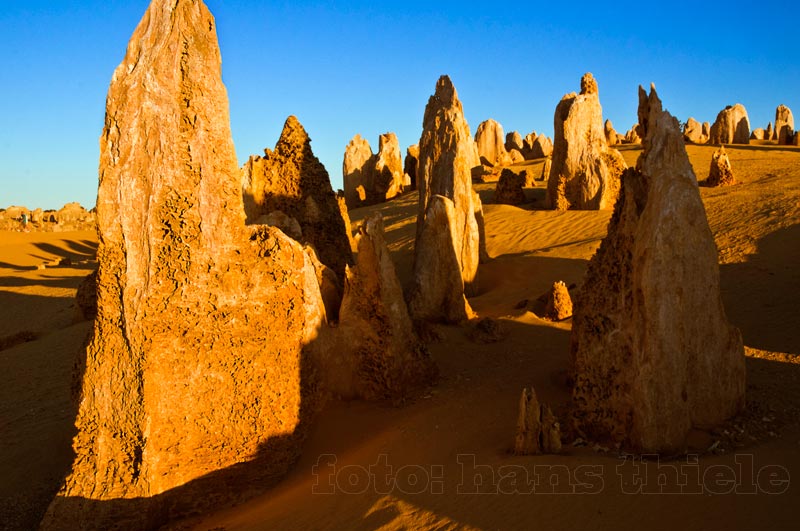 Nambung NP, WA, Pinnacles Desert, ein Höhepunkt einer Westaustralien-Reise