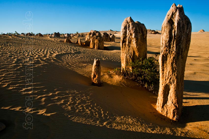 Pinnacles Desert im Nambung NP, ein Highlight der Reise durch Westaustralien