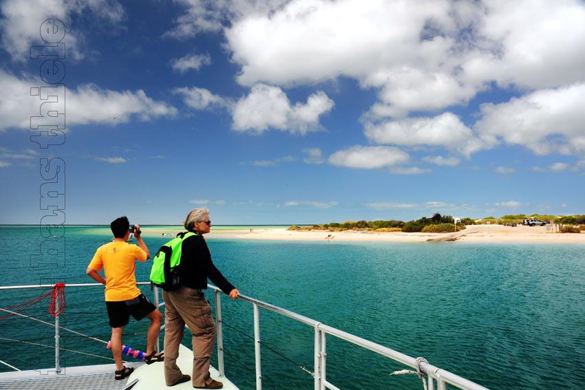 Den Dugongs  der Shark Bay auf der Spur mit einem Katamaran