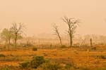 Sandsturm im Outback bei Wilcannia