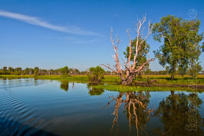 Kakadu National Park: Überflutungsgebiet des Yellow Waters
