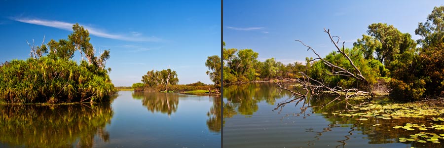 Kakadu National Park: Überflutungsgebiet der Yellow Water Lagune